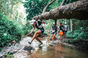 BIB: 
                            <button type="button" onclick="openModal(25369478)" class="btn btn-primary btn-sm float-right btn-popup" data-toggle="modal" data-target=".modal-high-quality">
                        <i class="fas fa-shopping-cart"></i> Add to Cart
                    </button>
                                            <button type="button" onclick="isThisMe(25369478, true)" class="btn btn-success btn-sm float-right btn-popup btn-isme hidden" data-toggle="tooltip" data-placement="bottom" title="นี่คือรูปของคุณใช่ไหม คลิกที่นี่เพื่อเอาเข้าอัลบั้ม">
                        <i class="fas fa-plus"></i> Add to album
                    </button>
                    <button type="button" onclick="isThisMe(25369478, false)" class="btn btn-warning btn-sm float-right btn-popup btn-isnotme hidden">
                        <i class="fas fa-ban"></i> Remove from album
                    </button>